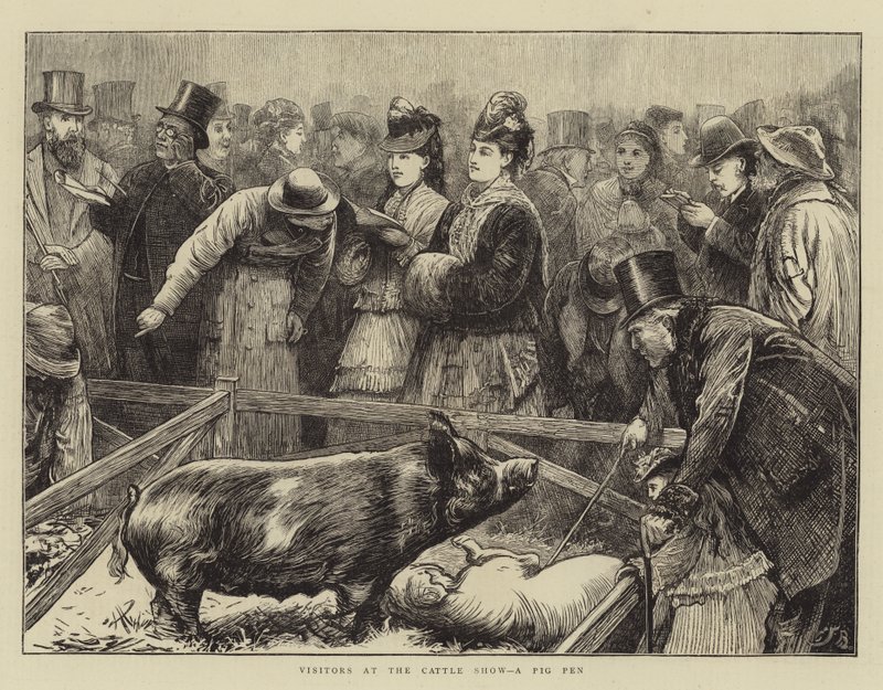 Visitors at the Cattle Show, a Pig Pen by Edward Frederick Brewtnall