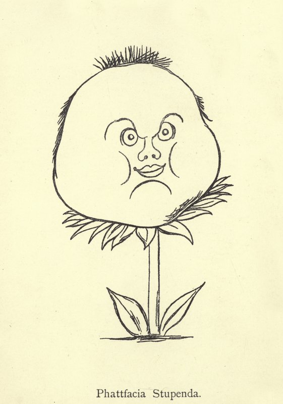 Phattfacia Stupenda by Edward Lear
