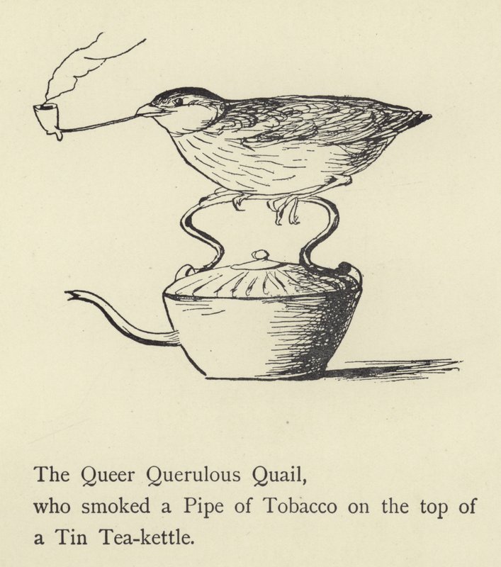 The Queer Querulous Quail by Edward Lear