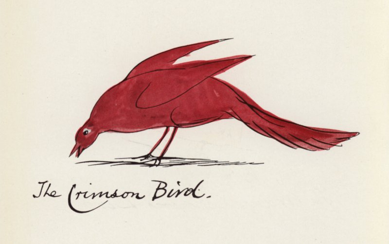 Edward Lear, The Bird Book: The Crimson Bird by Edward (after) Lear