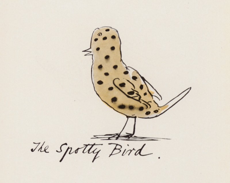 Edward Lear, The Bird Book: The Spotty Bird by Edward (after) Lear