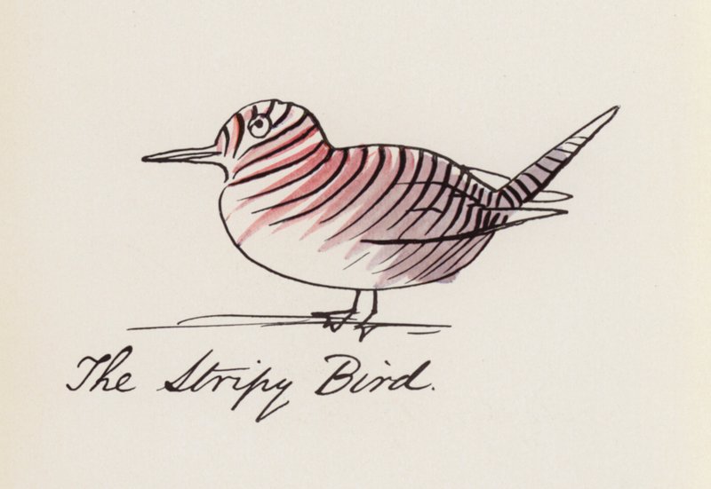 The Bird Book: The Stripy Bird by Edward (after) Lear