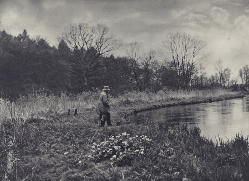The First Kingcups of Spring by Edward Alfred Barton