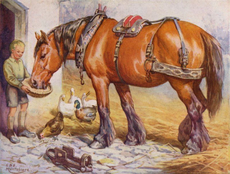Boy feeding a horse in a farmyard by Edward Brice Montefiore