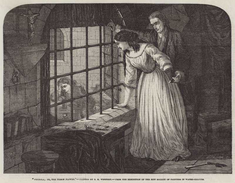 Picciola; or, the Prison Flower by Edward Henry Wehnert