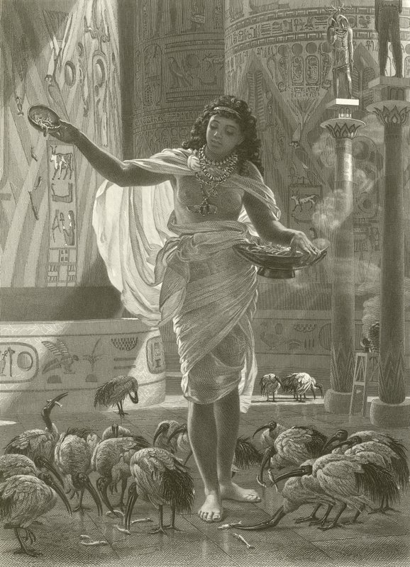 Feeding the Sacred Ibis in the Halls of Karnac by Edward John Poynter