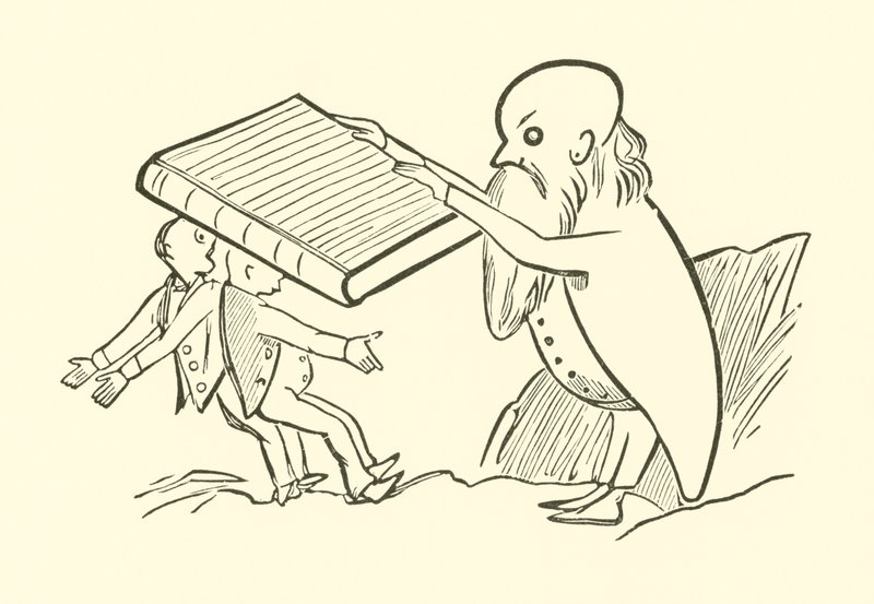 The Two Old Bachelors by Edward Lear