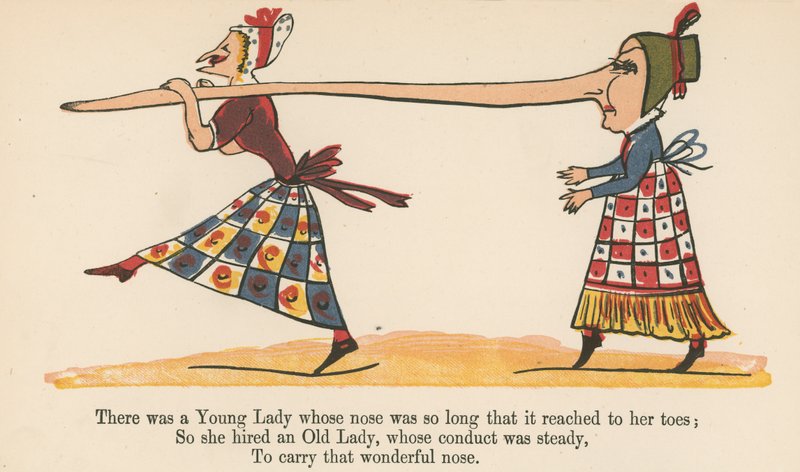 There was a Young Lady whose nose was so long that it reached to her toes, from 