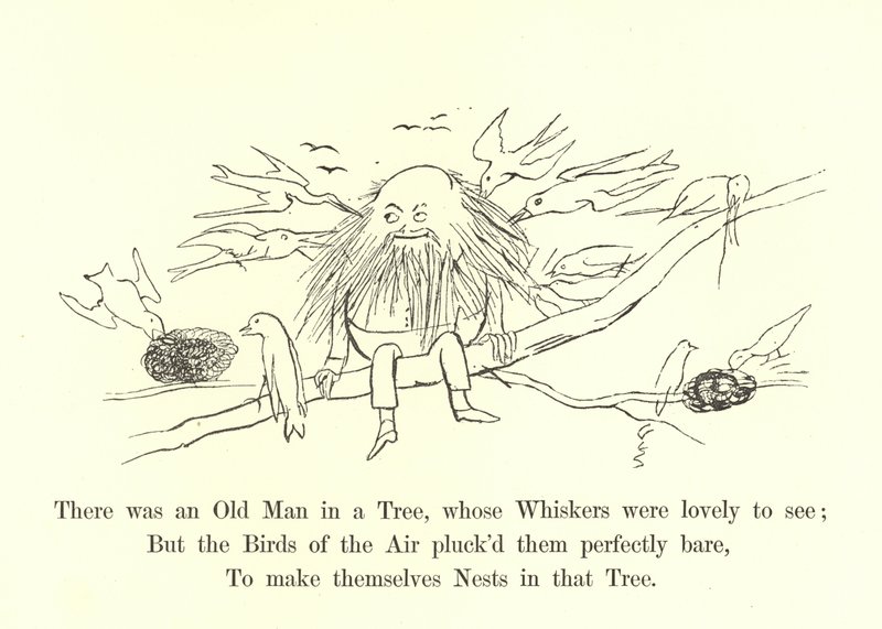 There Was an Old Man in a Tree, Whose Whiskers Were Lovely to See by Edward Lear