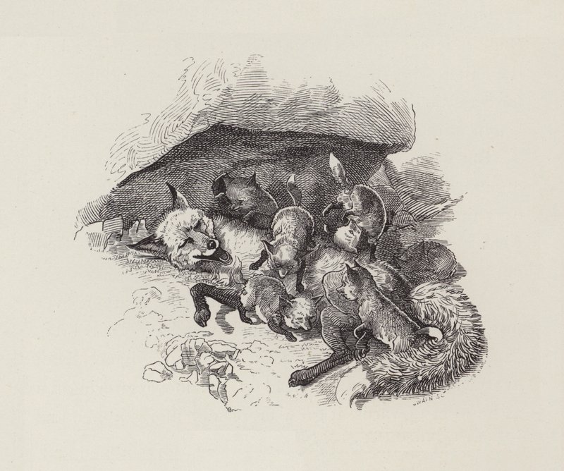 Illustration for The Water-Babies by Charles Kingsley by Edward Linley (after) Sambourne