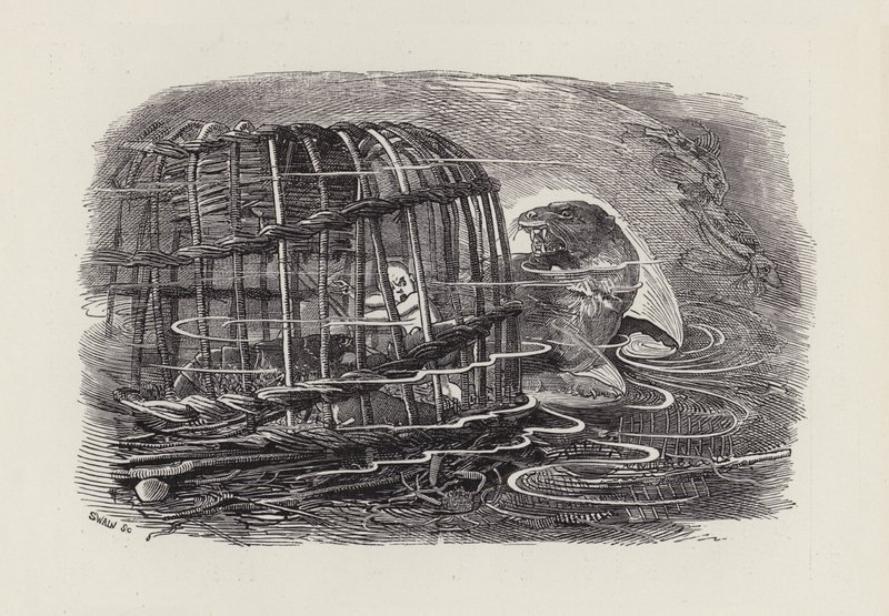Illustration for The Water-Babies by Charles Kingsley by Edward Linley (after) Sambourne