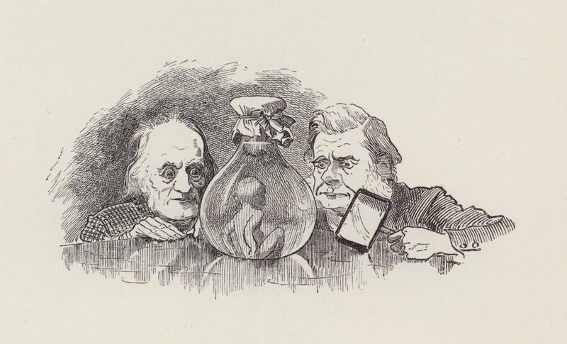 Illustration for The Water-Babies by Charles Kingsley by Edward Linley (after) Sambourne