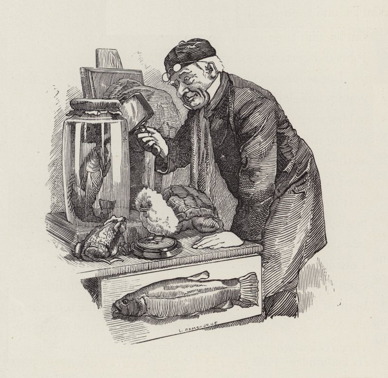 Illustration for The Water-Babies by Charles Kingsley by Edward Linley (after) Sambourne