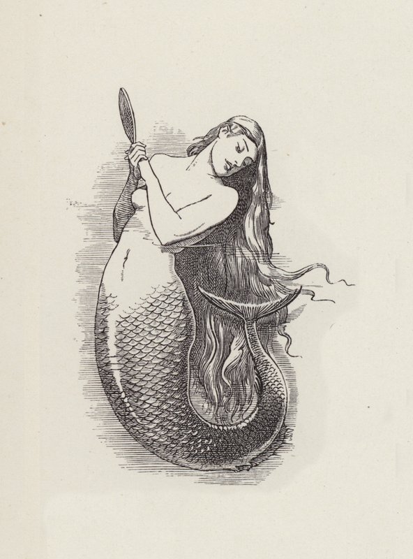 Illustration for The Water-Babies by Charles Kingsley by Edward Linley (after) Sambourne