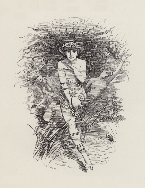 Illustration for The Water-Babies by Charles Kingsley by Edward Linley (after) Sambourne