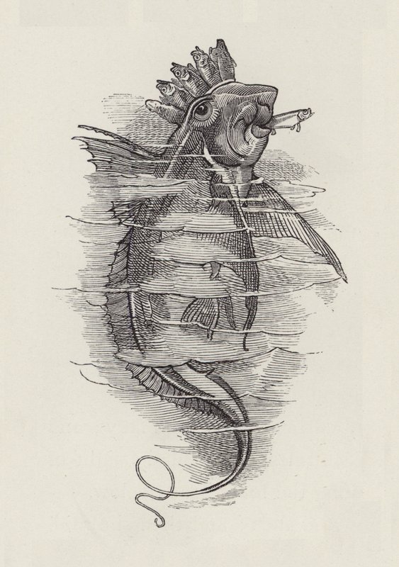 Illustration for The Water-Babies by Charles Kingsley by Edward Linley (after) Sambourne