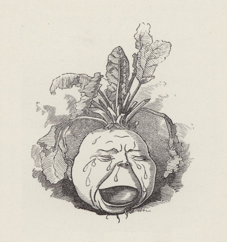 Illustration for The Water-Babies by Charles Kingsley by Edward Linley (after) Sambourne
