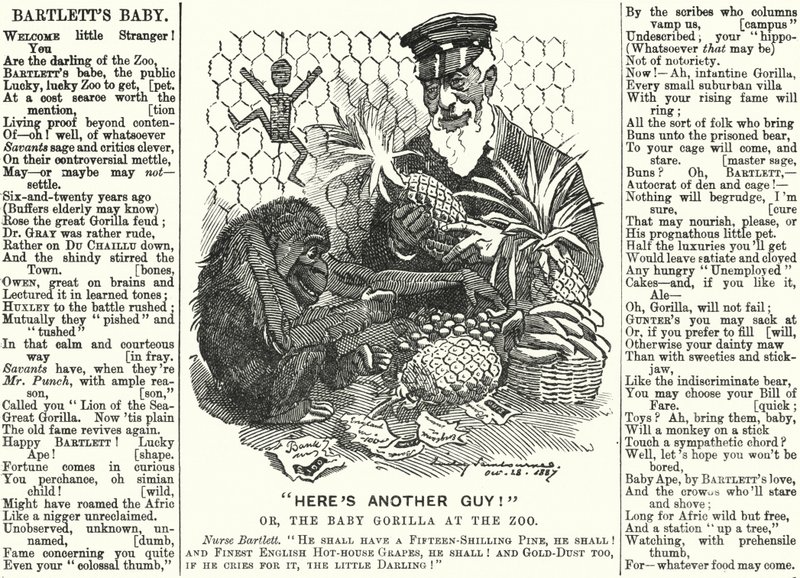 Abraham Dee Bartlett, Superintendent of London Zoo, and a Baby Gorilla (engraving) by Edward Linley (after) Sambourne