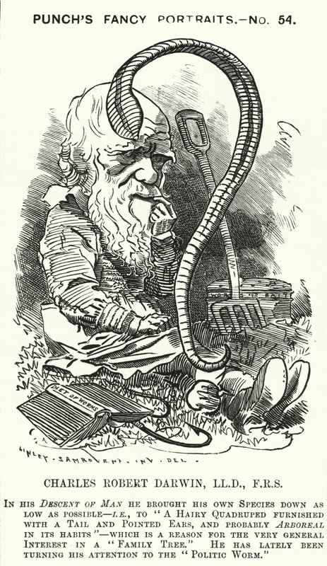 Charles Darwin, English naturalist and biologist by Edward Linley (after) Sambourne