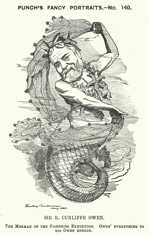 Punch cartoon: Philip Cunliffe-Owen, British exhibition organiser and Director of the South Kensington Museum, London by Edward Linley (after) Sambourne