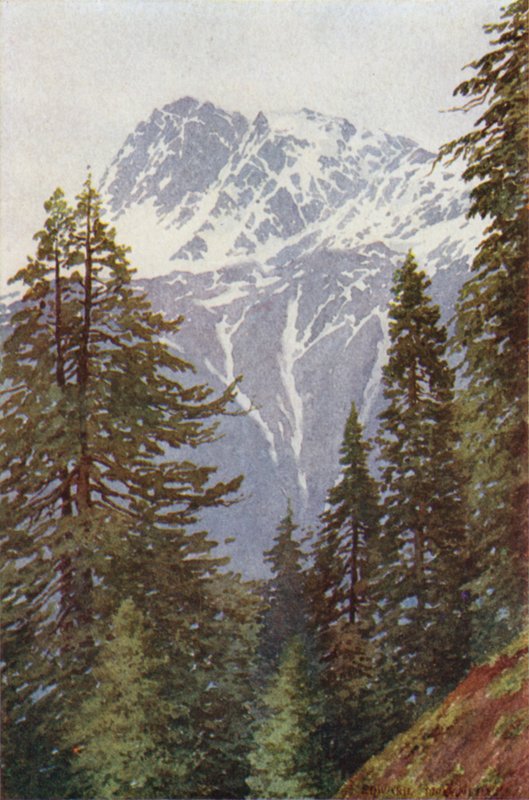 Kotwal from the Forest Above Kangan, Sind Valley by Edward Mary Joseph Molyneux