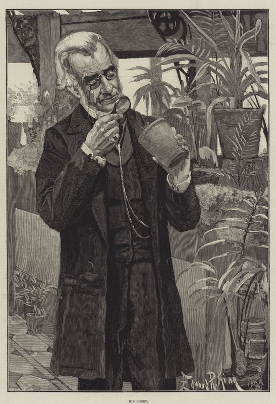 His Hobby by Edward R. King