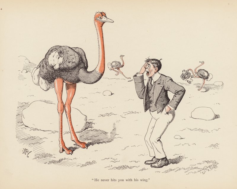 Tails with a Twist: The Ostrich by Edward Tennyson Reed