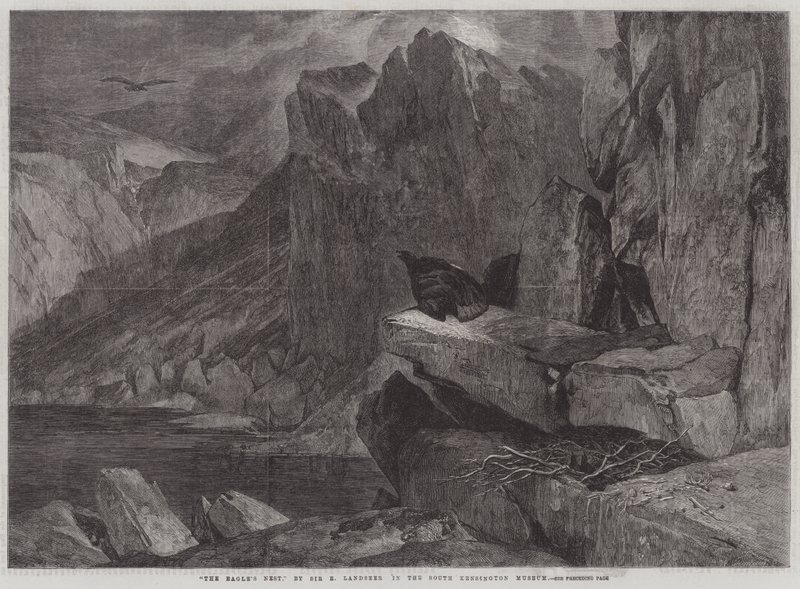 The Eagle