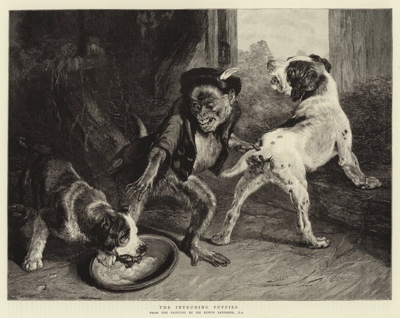 The Intruding Puppies by Edwin Landseer