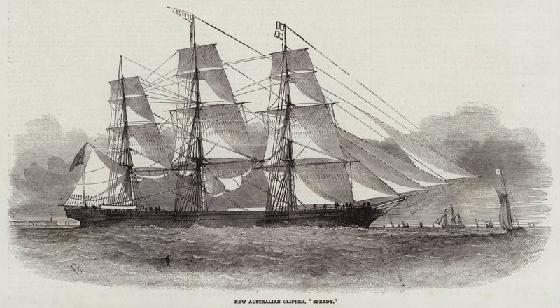 New Australian Clipper, Speedy by Edwin Weedon