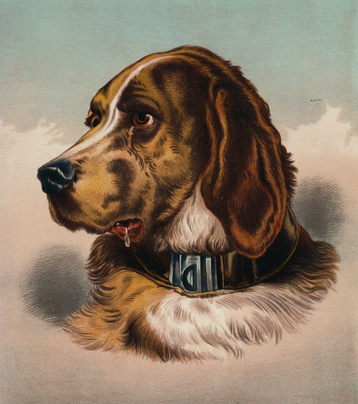 The Blood Hound by Edwin (after) Landseer
