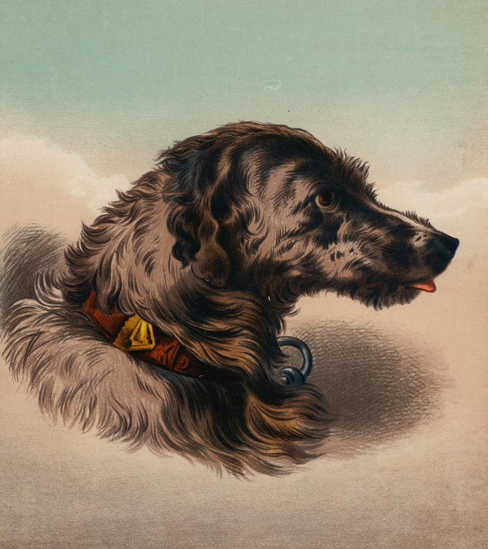 The Stag Hound by Edwin (after) Landseer