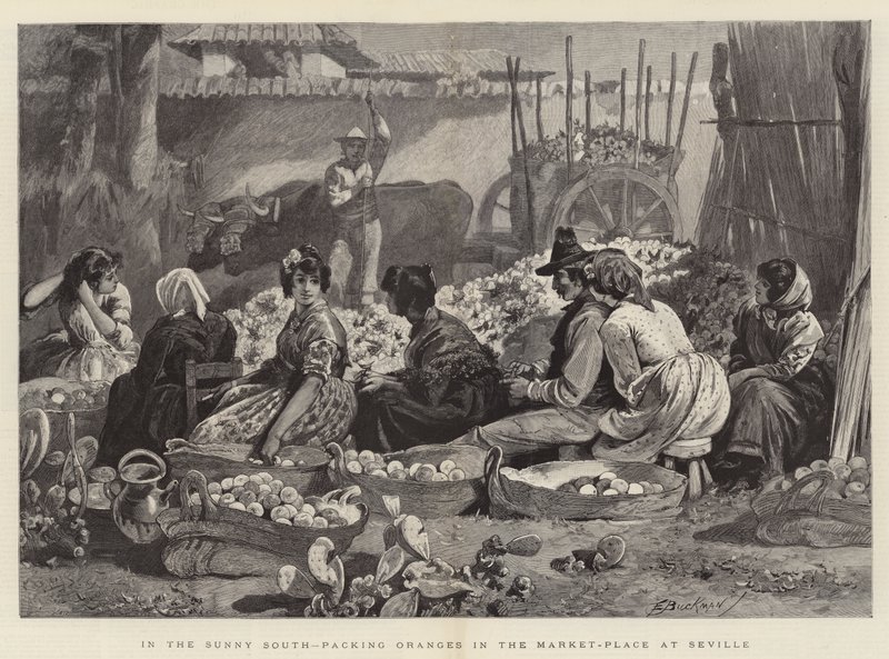 In the Sunny South, packing Oranges in the Market-Place at Seville by Edwin Buckman