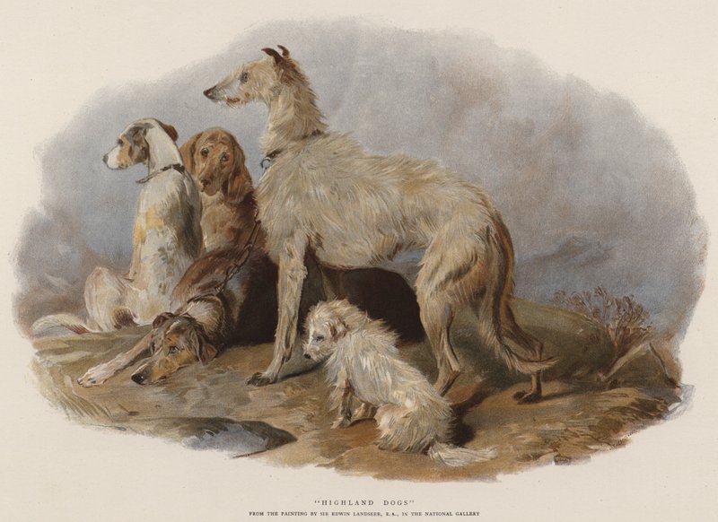 Highland Dogs by Edwin Landseer