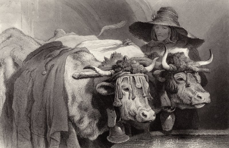 Oxen at the Tank, Geneva, Switzerland by Edwin Landseer