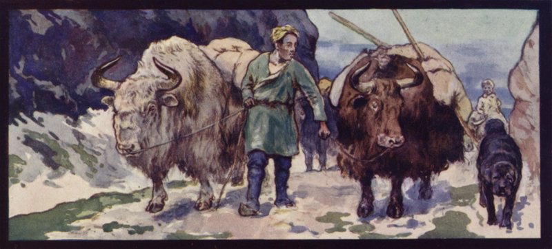 A Tibetan Yak Train by Edwin Noble