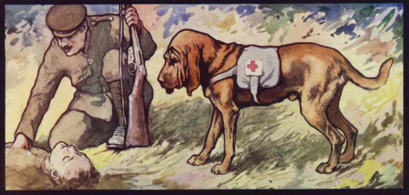 Ambulance Bloodhound by Edwin Noble
