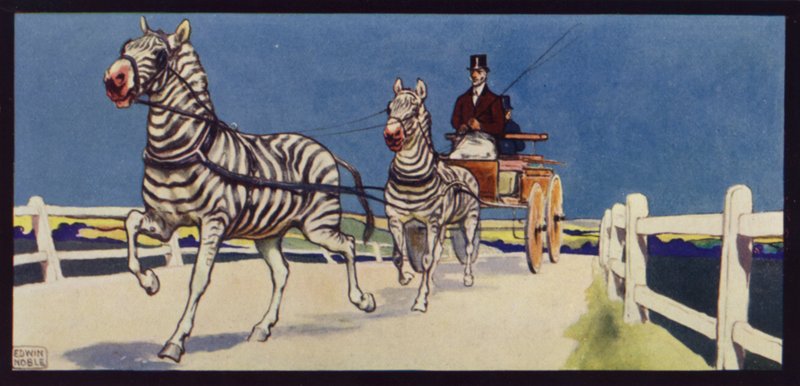 Driving Zebras, Tandem by Edwin Noble