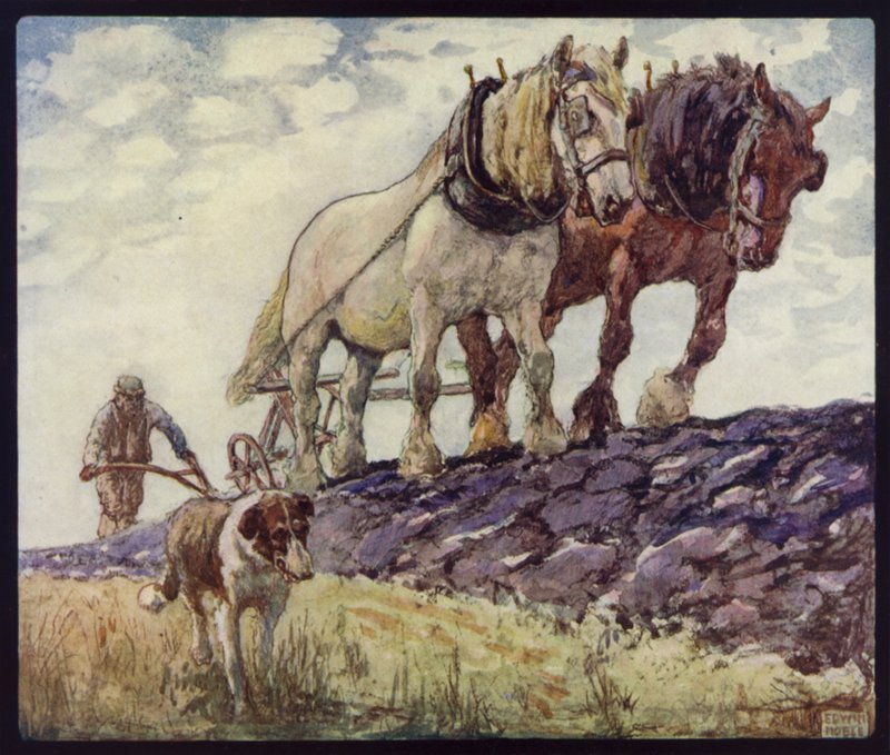 English Cart-Horses Ploughing by Edwin Noble