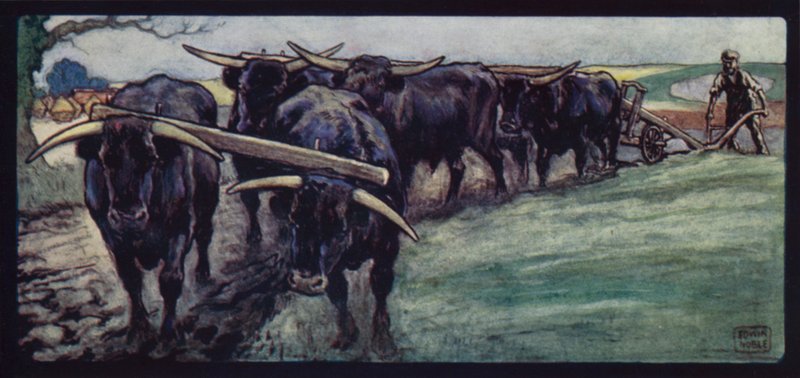 Oxen Ploughing on the Sussex Downs by Edwin Noble