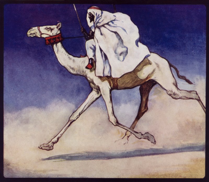 Racing Camel by Edwin Noble