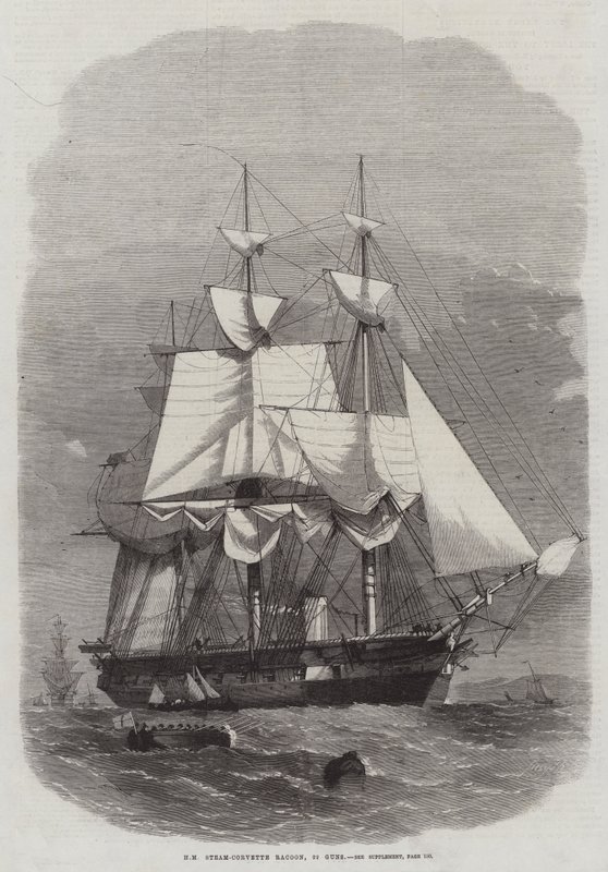 HM Steam-Corvette Racoon, 22 Guns by Edwin Weedon