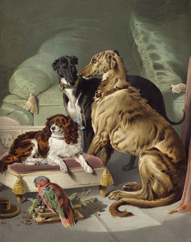 Dash, Hector, Nero, and Lory by Edwin after Landseer
