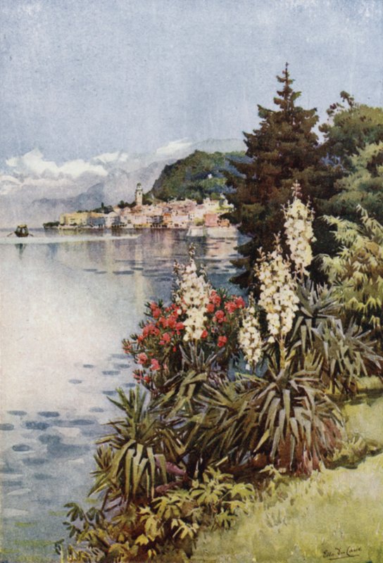 A Group of Yuccas, Villa Melzi, Lago di Como by Ella Du Cane