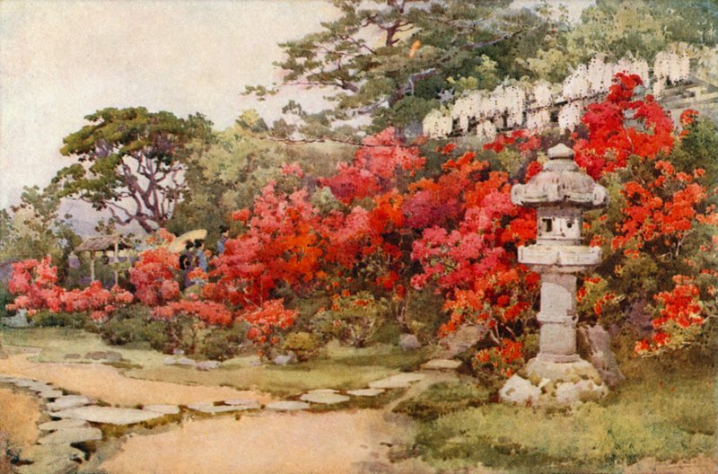 Azaleas, Awata by Ella Du Cane