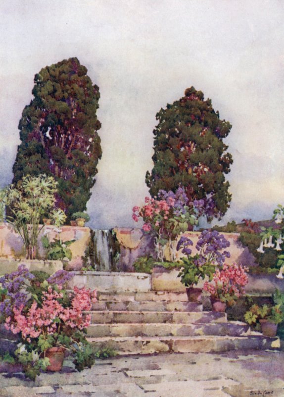 Botanical Gardens, Orotava by Ella Du Cane