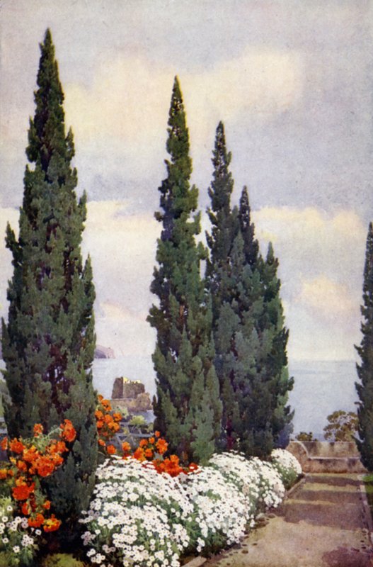 Cypress Avenue, Quinta Stanford by Ella Du Cane