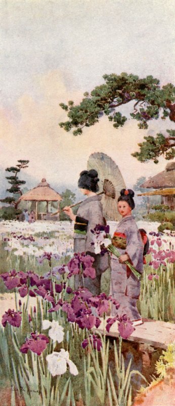 Irises, Horikiri by Ella Du Cane