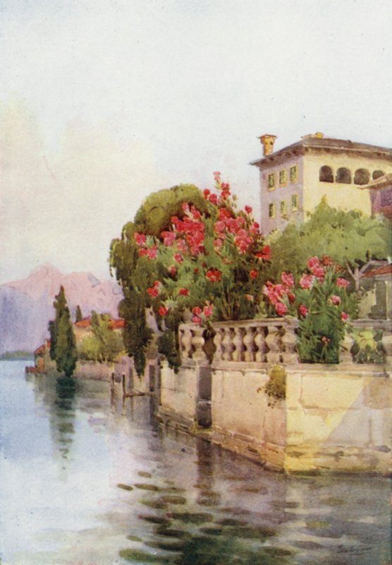 Oleanders, Lake Orta by Ella Du Cane