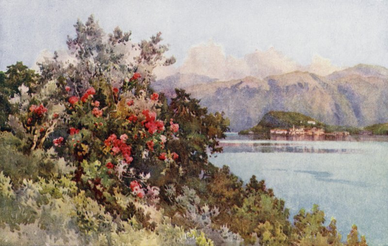Roses, Villa Carlotta, Lake Como by Ella Du Cane